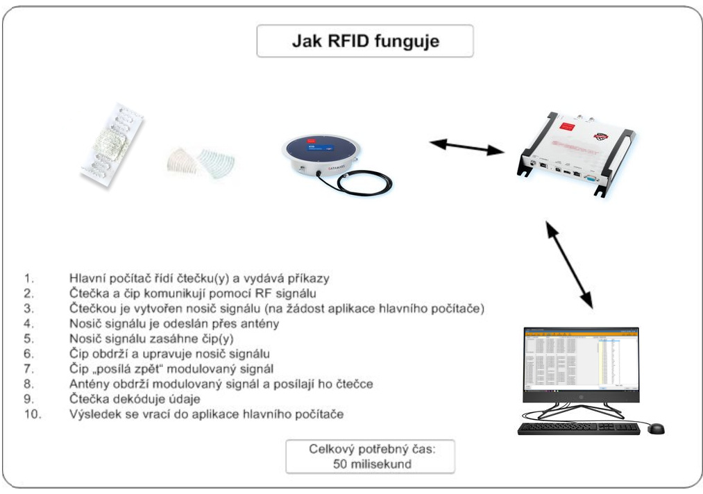 RFID schema